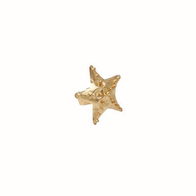 Anillo Zafira